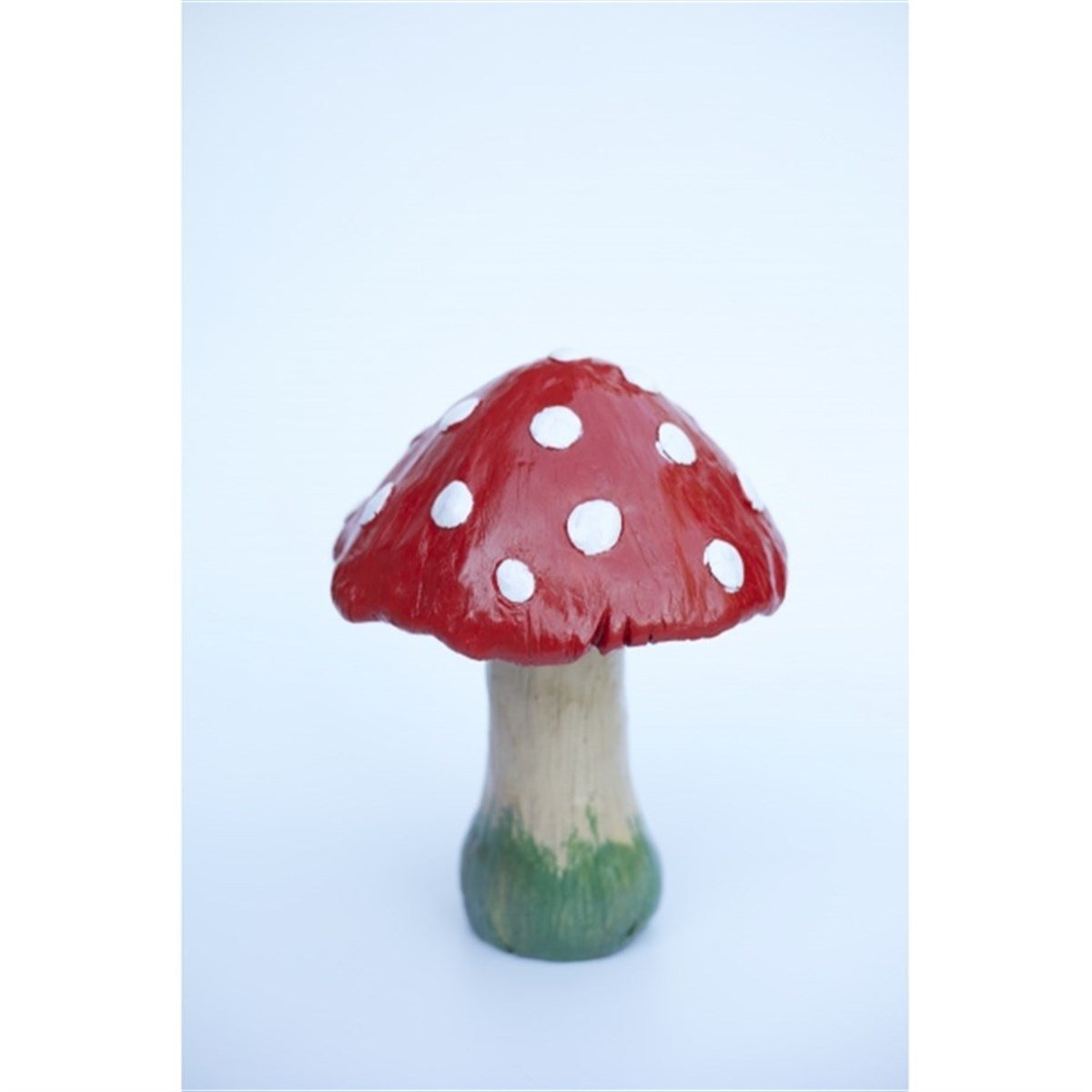 فطر مبهج حجم كبير