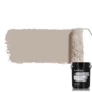One Coat Finish Acrylic Interior Paint OCF-25 Ash Gray 2.5 Lt