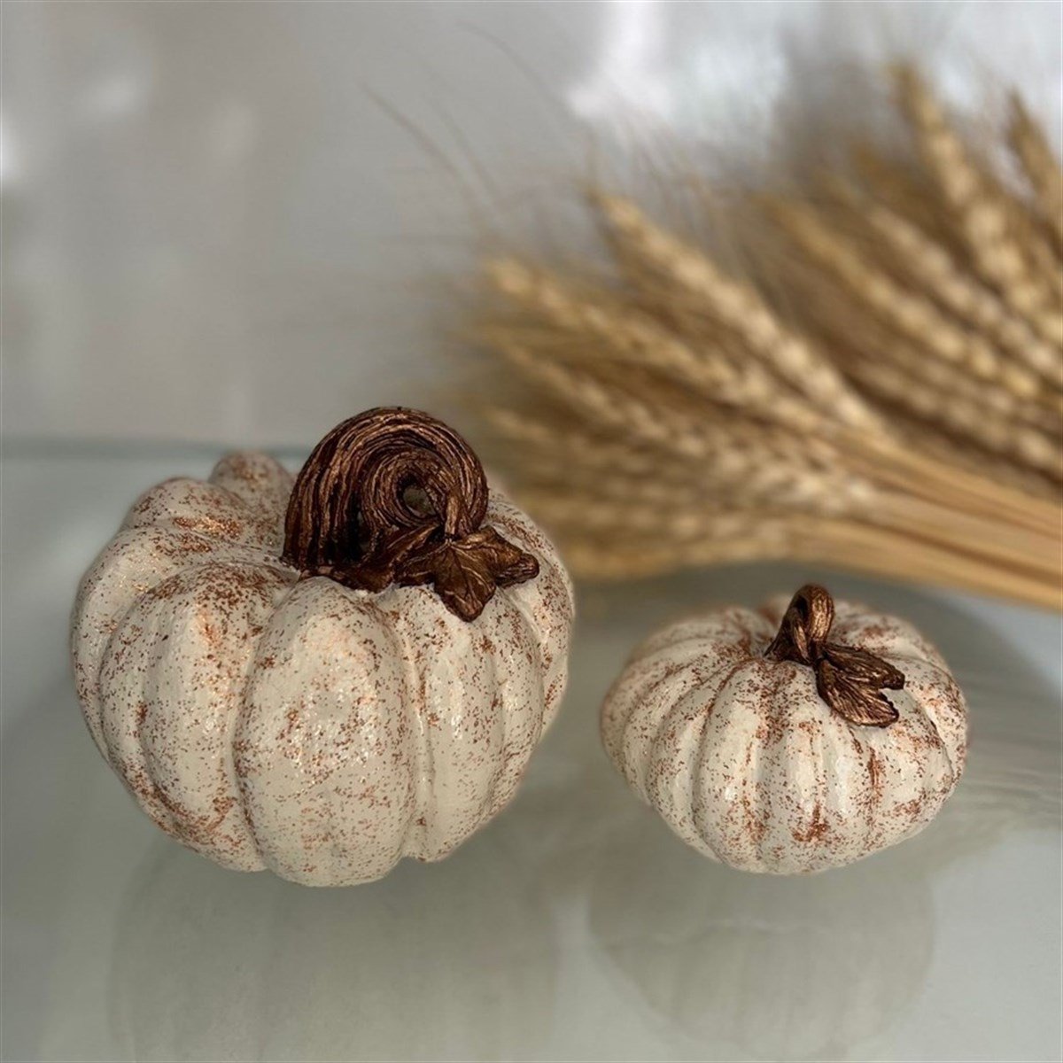 كائن مزدوج بريق اليقطين - بريق النحاس الكريمي