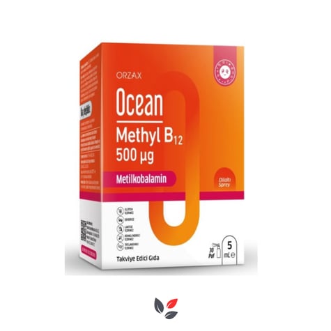 Ocean Methyl B12 500 mcg 5 ml Sprey
