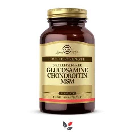 Solgar Glucosamine Chondroitin Msm 60 Tablet