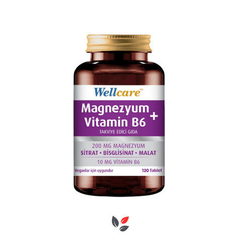 Wellcare Magnesium Vitamin B6 120 Tablet