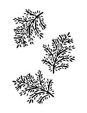 AS404 - استنسل A4