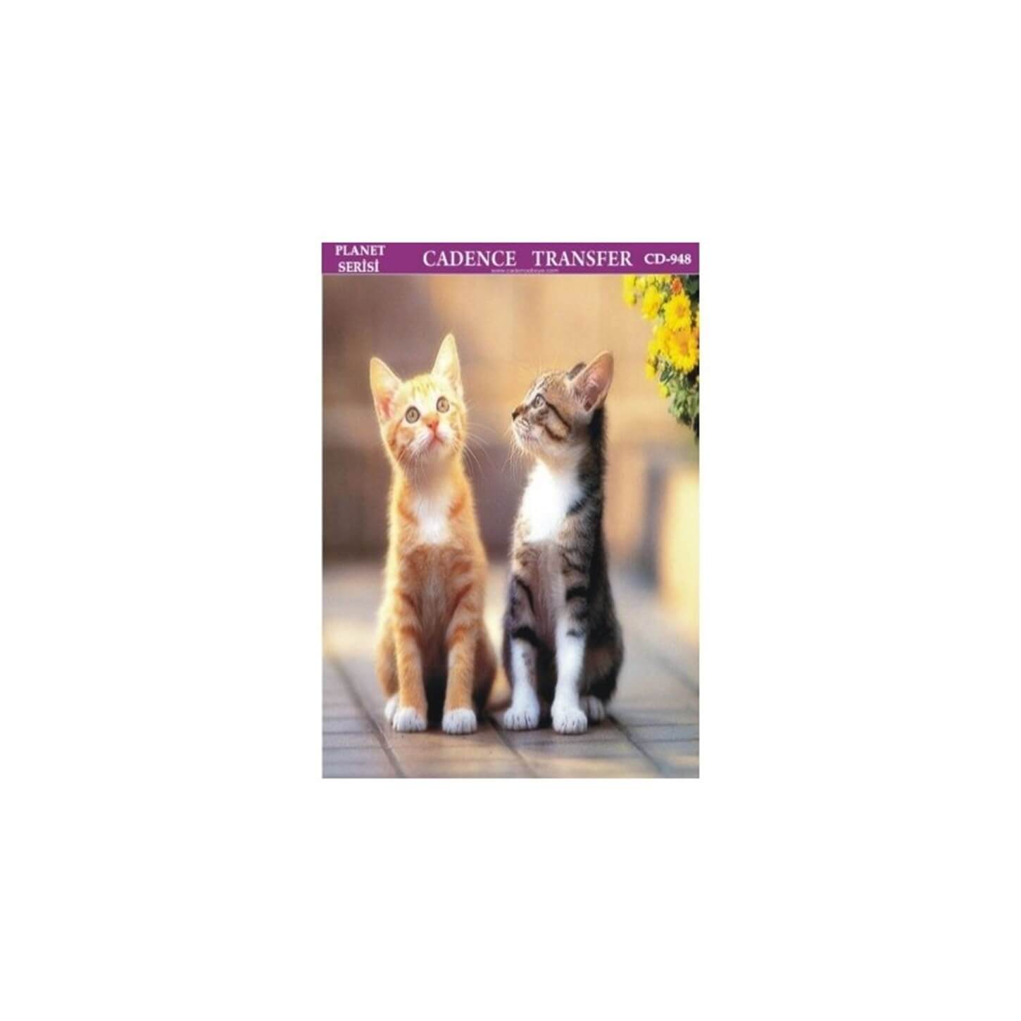 CD948 25x35 Planet Transfer