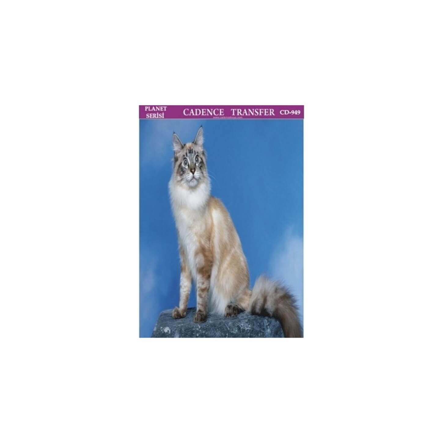 CD949 25x35 Planet Transfer