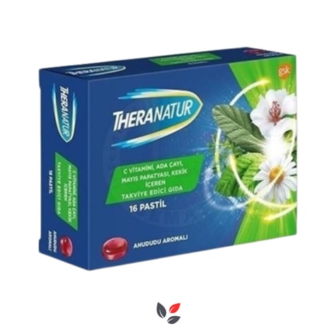 Theranatur Ahududu Aromalı Pastil 16 Adet