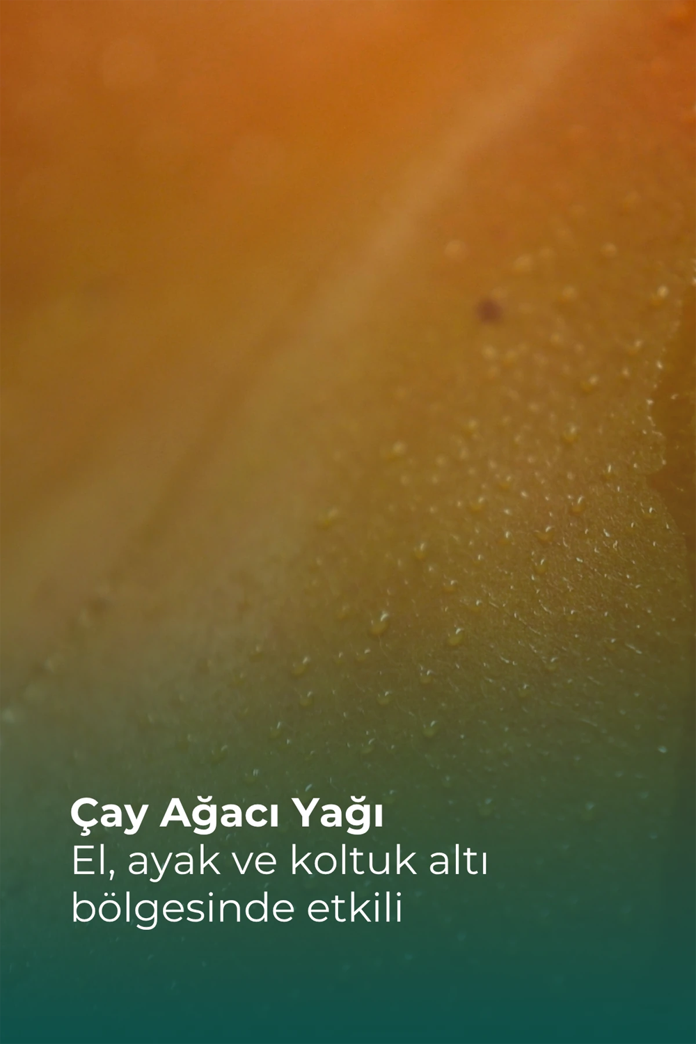 Parfüm / Deodorant / Roll-onTTOTTO TRX Sprey 50 ml