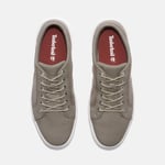 Timberland Seneca Bay Erkek Canvas Ayakkabı Light Taupe