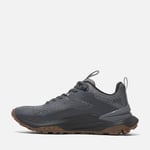 Timberland Motion Access Erkek Ayakkabı Gri