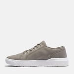 Timberland Seneca Bay Erkek Canvas Ayakkabı Light Taupe