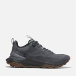 Timberland Motion Access Erkek Ayakkabı Gri