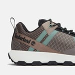 Timberland Winsor Trail Erkek Ayakkabı Taupe