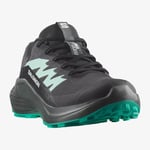 Salomon Alphaglide GORE-TEX Kadın Ayakkabı Siyah