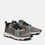 Timberland Winsor Trail Erkek Ayakkabı Taupe