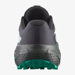 Salomon Alphaglide GORE-TEX Kadın Ayakkabı Siyah