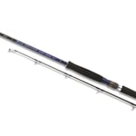 Shimano Blue Romance AX Shore Jigging 290cm 50-80 gr