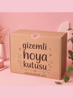 Gizemli Hoya Kutusu