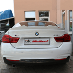 Bmw F36 Yarasa Model Anatomik Spoiler 2015 Yılı ve Sonrasına Uyumludur