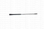 ANTEN CUBUGU GOLF IV BORA STANDART (40CM)