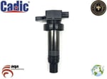 ATEŞLEME BOBİNİ ACCENT (RB) (11-) ELANTRA (MD/UD) (10-) i20 (PB) (08-11) i30 (FD) (07-12) i30 (GD) (12-) ix20 (JC) (10-) / CARENS III (RP) (13-) CEE'D (ED,FF2) (06-12) CEE'D (JD) (12-) CERATO (LD) (04-09) RIO III (UB) (11-) SOUL I (AM) (09-) VENGA (Y