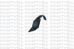 CAMURLUK DAVLUMBAZI ON SAG I30 12-16