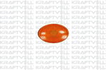 CAMURLUK SINYALI TURUNCU CAMLI FORD TRANSIT V348-V347  06> 13( DUYSUZ )