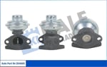 EGR VALF LAGUNA