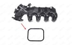 EMME MANİFOLD CONTASI