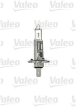 H1 AMPUL KARTON KUTU - STANDART SERİ