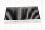 POLEN FILTRESI GRAND CHEROKEE IV 3.0DT SUV V6 CRD 10> / 3.6I SUV V6 / 5.7I SUV V8 KARBONLU