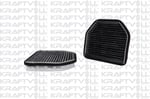 POLEN FILTRESI (KARBONLU) W461 03> W463 15> R230 01>12 R199 04>