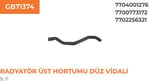 RADYATÖR HORTUMU ÜST DÜZ VIDAL R9