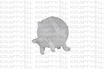 RADYATOR YEDEK SU DEPOSU CRAFTER 06>