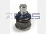 ROTIL - ALT  Ø22MM  NISSAN OPEL RENAULT INTERSTAR (2002 -) MOVANO (1998 -) MASTER I (1998 - 2003)