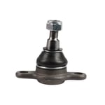 ROTİL TRANSPORTER T5 41 MM