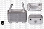 SANZIMAN YAG SOGUTUCU BMW X5 E53 M57 M62 00>