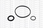 YAG SOGUTUCU CONTA TAKIM MEGANE IV 15> MEGANE III 09> MEGANE II 03> CLIO IV 12>