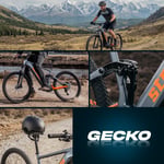  Strada E-Gecko Hidrolik Disk 29 Jant Elektrikli Bisiklet