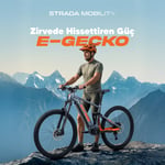  Strada E-Gecko Hidrolik Disk 29 Jant Elektrikli Bisiklet