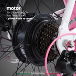 Strada E-SIS Fat Bike 20 Jant Bisiklet