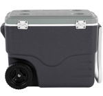 Çanta ve Kutular Coleman Daintree Personal Wheeled Hard Cooler Tekerlekli Soğutucu Buzluk 38 Lt