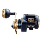 Baitcasting & Çıkrık Makineleri Daiwa 21 Saltiga IC 100 Çıkrık Makara (Sağ El)