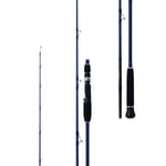 Jigging Kamışları Daiwa Exceler Oceano 193cm 180gr 2p Tetikli Jig Kamış