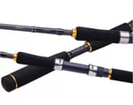 Spin Kamışları Daiwa Legalis Seabass 2.21m 28-84gr 1+1 Kamış