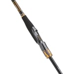 Spin Kamışları Daiwa Morethan Branzino Expert AGS 2.51M 7-28GR 2P Kamış