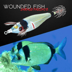 Dtd Wounded Fish Bukva 2.5 Kalamar Zokası - NATURAL COMBER Kalamar Zokaları