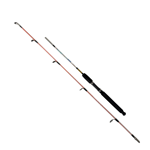 Tekne Kamışları FishPro Echo 120cm 100-250gr Tekne Kamışı