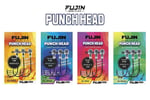 Jig Head ve Zokalar Fujin Punch Head Jighead FJ-PH 3/0 - 10GR
