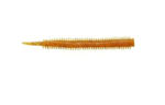 Silikon Yemler Fujin Yummy Sandworm 7cm LRF Silikonu
