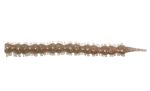 Silikon Yemler Hanfish Bibi 7 Cm Lrf Silikon Yem - BLOODWORM